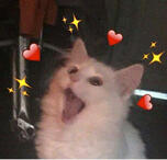 526 TT Followers!